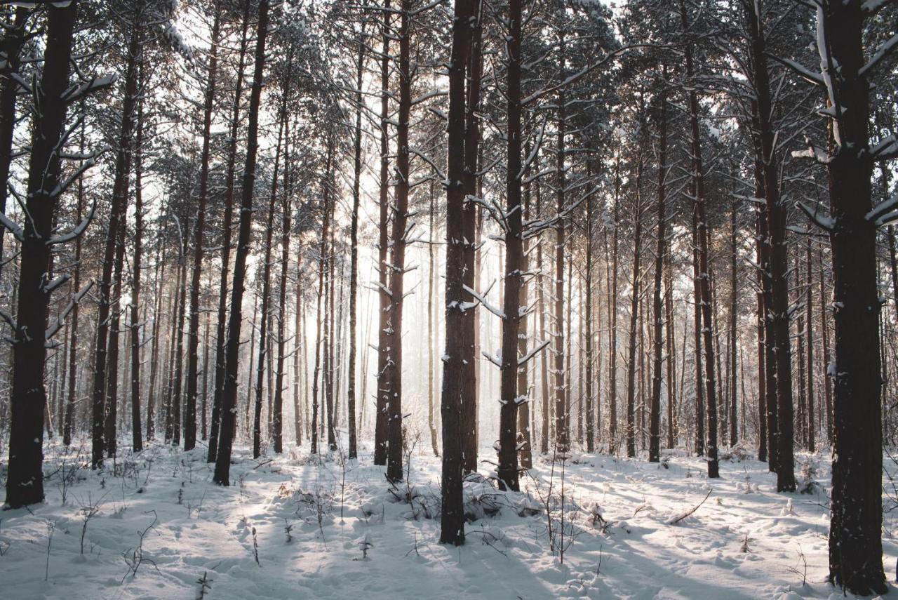 Jarzębinowa - Dom do wynajęcia na Podlasiu Luka Zewnętrze zdjęcie