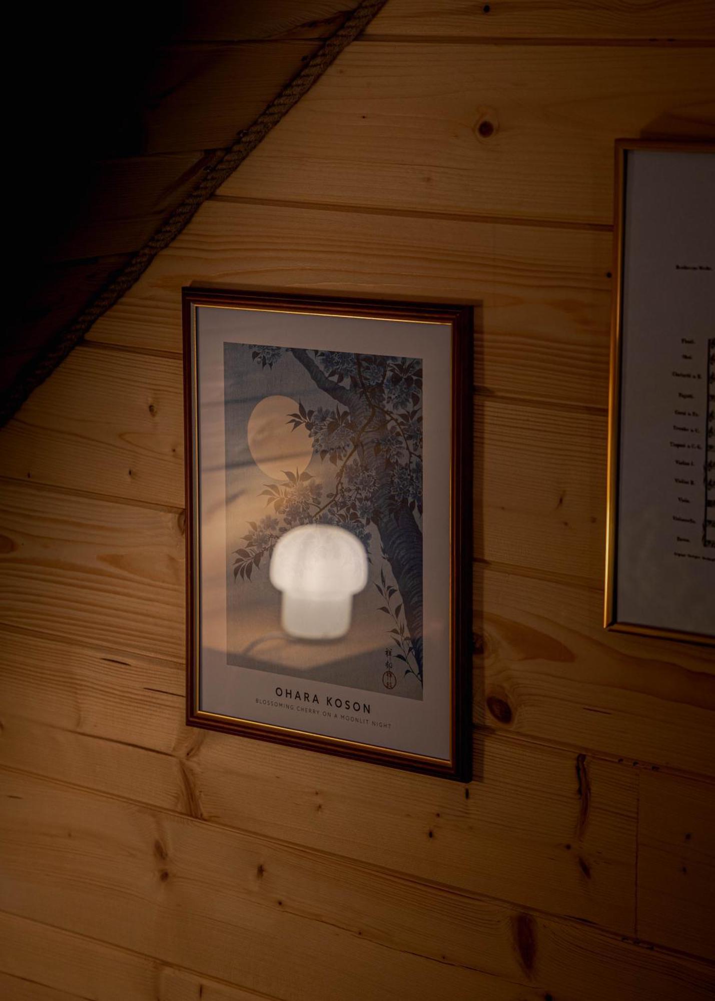 Jarzębinowa - Dom do wynajęcia na Podlasiu Luka Zewnętrze zdjęcie